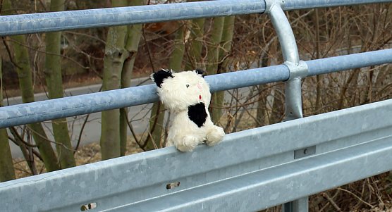 Ich bin so allein! (Foto: Karl-Heinz Herrmann)