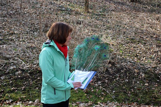 Auf dem Weg zum Olymp (Foto: Karl-Heinz Herrmann)