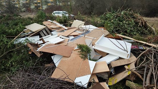 Osterfeuer in Artern (Foto: T. Bl&uuml;mel)