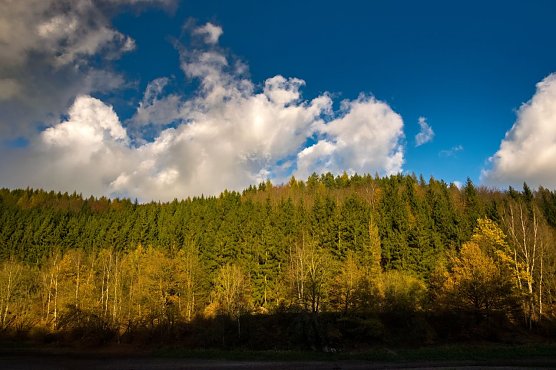 Kommt da der Fr&uuml;hling? (Foto: Gernot Thelemann)