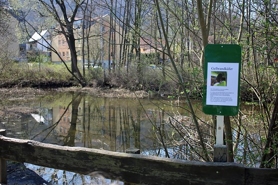 Mit Teichprojekt zur Titelverteidigung (Foto: Karl-Heinz Herrmann) Mit Teichprojekt zur Titelverteidigung (Foto: Karl-Heinz Herrmann)