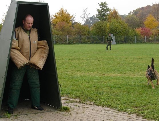 F&uuml;r tauglich befunden (Foto: PD NDH)