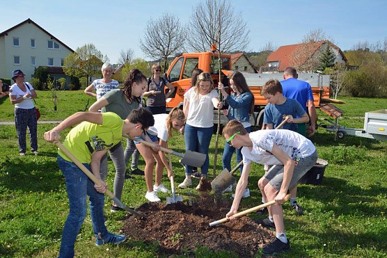 Jugendweihebaum 2018 gepflanzt (Foto: Elke Elbern-G&ouml;bel)