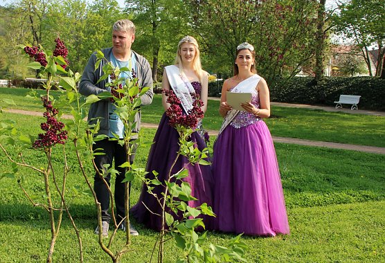 Gro&szlig;e Fliederbaumplanzaktion in Bad Frankenhausen (Foto: Karl-Heinz Herrmann)