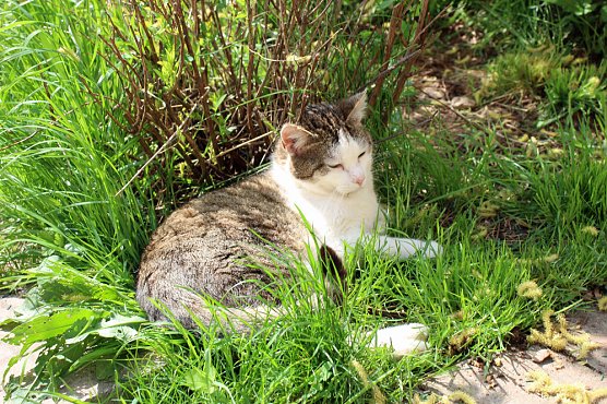 Förderantrag gestellt (Foto: Karl-Heinz Herrmann) Förderantrag gestellt (Foto: Karl-Heinz Herrmann)