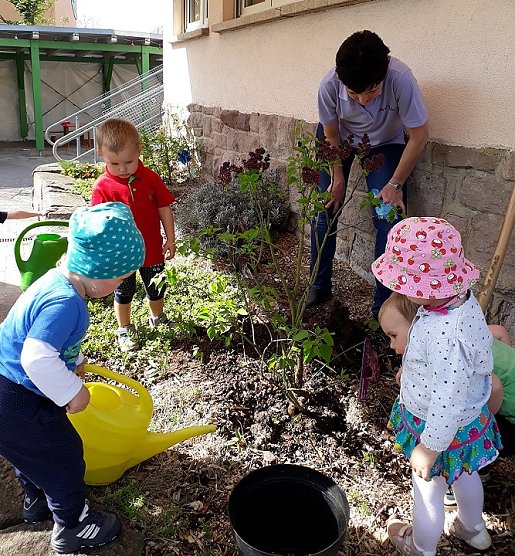 Rekordbeteiligung zum Frühjahrsputz 2018 (Foto: Peter Möbius) Rekordbeteiligung zum Frühjahrsputz 2018 (Foto: Peter Möbius)