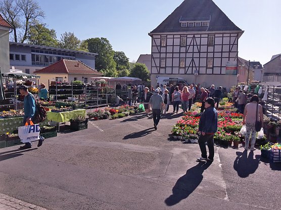 Eine F&uuml;lle an Pflanzen (Foto: Karl-Heinz Herrmann)