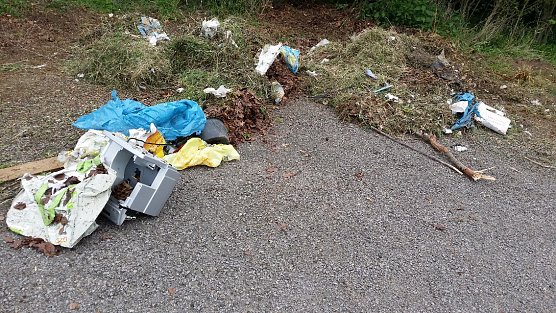 Frühjahrsputz weitergeführt (Foto: Bernd Otto) Frühjahrsputz weitergeführt (Foto: Bernd Otto)