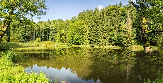 Wetterbild (Foto: Gernot Thelemann)