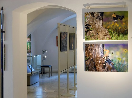 Wir haben zu Pfingsten ge&ouml;ffnet! (Foto: Regionalmuseum Bad Frankenhausen)