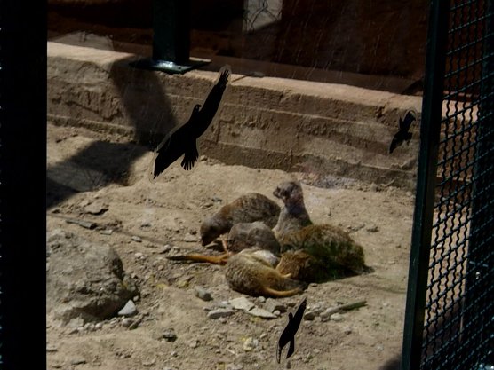 Ausflug auf den Possen (Foto: Thomas Leipold)