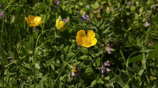 Wetterbild (Foto: Angelo Glashagel)