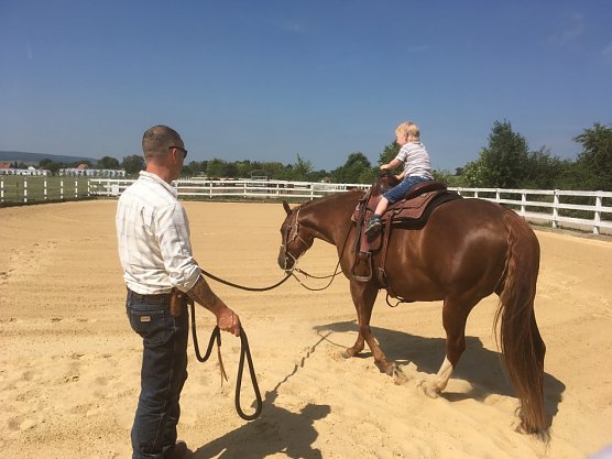 Bienenschwarm in Esperstedt (Foto: Bienchen Kindervilla)