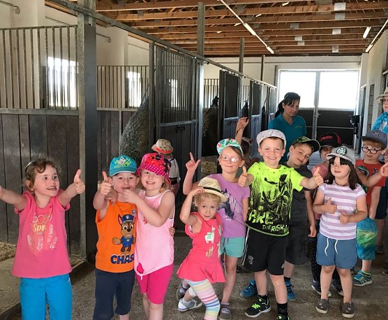 Bienenschwarm in Esperstedt (Foto: Bienchen Kindervilla)