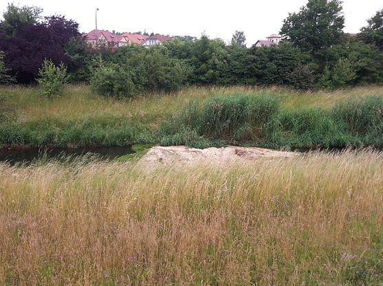 Wipper (Foto: Karl-Heinz Herrmann) Wipper (Foto: Karl-Heinz Herrmann)