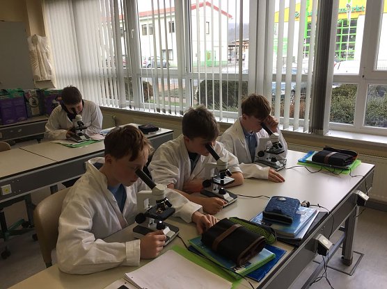 Eltern berichten über ihre Erfahrungen (Foto: Freie Gemeinschaftsschule Armin Mueller-Stahl) Eltern berichten über ihre Erfahrungen (Foto: Freie Gemeinschaftsschule Armin Mueller-Stahl)