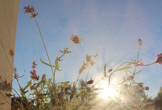 Wetterbild (Foto: Angelo Glashagel) Wetterbild (Foto: Angelo Glashagel)