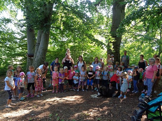 Waldtag in der Kita in Gro&szlig;furra (Foto: Kita Arche Noah Gro&szlig;furra)