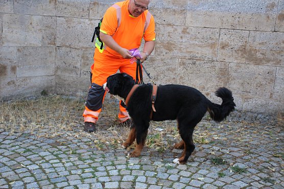 Rettungshunde in Sondershausen unterwegs (Foto: Karl-Heinz Herrmann)