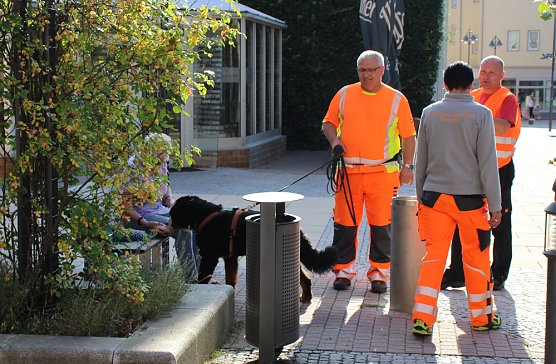 Rettungshunde in Sondershausen unterwegs (Foto: Karl-Heinz Herrmann)