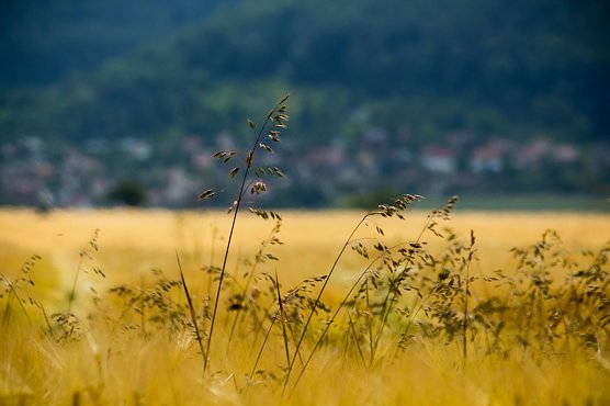 Wetterbild (Foto: Gernot Thelemann)