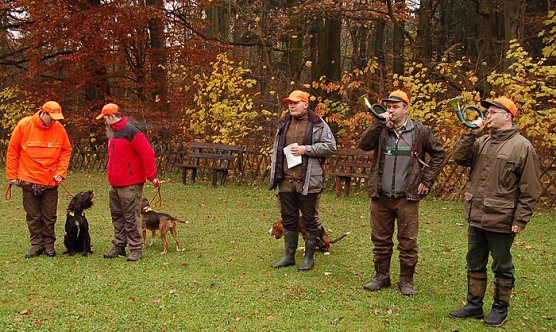 Jagd im Kyffh&auml;usergebirge (Foto: Forstamt Oldisleben)