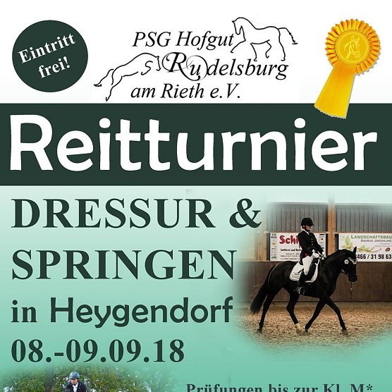 Reitturnier in Heygendorf (Foto: privat)