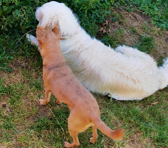 Tierschutz-Tour zeigt: (Foto: Babett Pfefferlein)