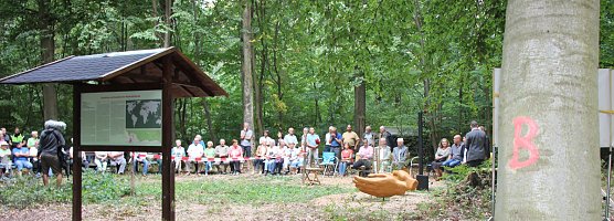 Haben wir bald ein Blutbuchenk&ouml;nigin? (Foto: Karl-Heinz Herrmann)