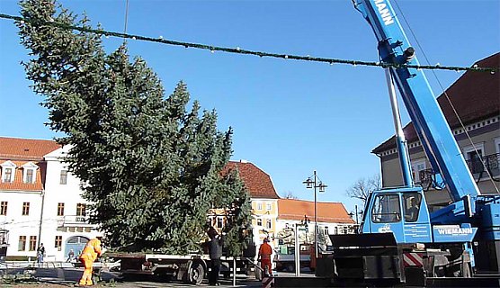 Weihnachtsbaum Sondershausen (Foto: Karl-Heinz Herrmann)