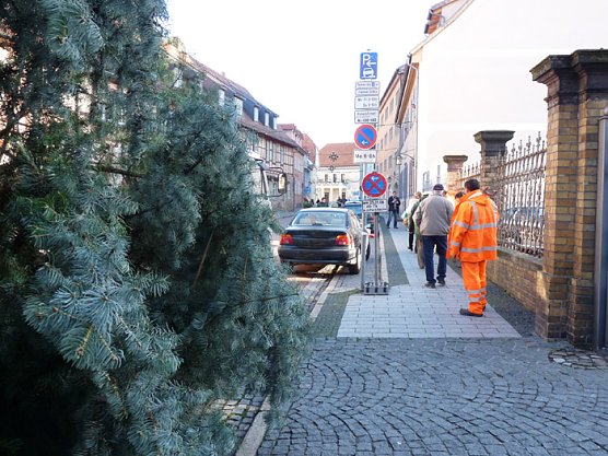 Weihnachtsbaum Sondershausen (Foto: Karl-Heinz Herrmann)