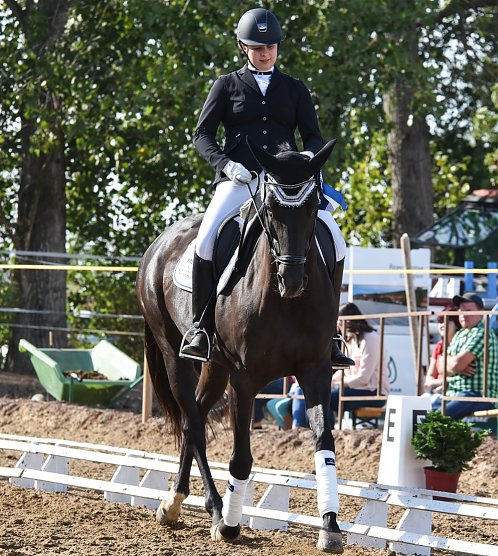 Reitturnier in Heygendorf (Foto: Alexander Behrbohm) Reitturnier in Heygendorf (Foto: Alexander Behrbohm)