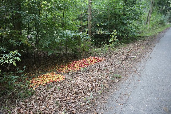 Von Äpfeln und Pferdeäpfeln (Foto: Karl-Heinz Herrmann) Von Äpfeln und Pferdeäpfeln (Foto: Karl-Heinz Herrmann)