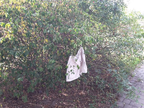 Von Äpfeln und Pferdeäpfeln (Foto: Karl-Heinz Herrmann) Von Äpfeln und Pferdeäpfeln (Foto: Karl-Heinz Herrmann)