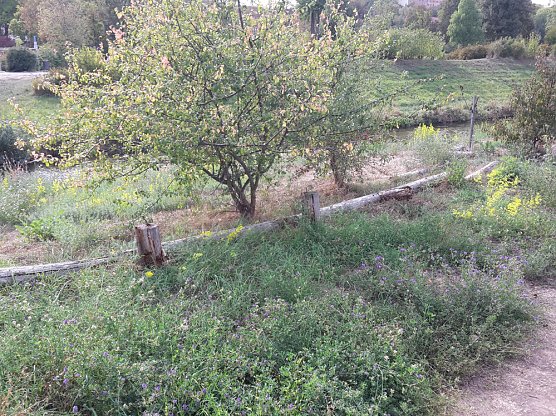 Von Äpfeln und Pferdeäpfeln (Foto: Karl-Heinz Herrmann) Von Äpfeln und Pferdeäpfeln (Foto: Karl-Heinz Herrmann)