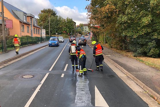 Feuerwehren im Einsatz (Foto: Silvio Dietzel) Feuerwehren im Einsatz (Foto: Silvio Dietzel)