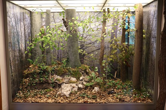 Herbstferien im Regionalmuseum (Foto: Regionalmuseum Bad Frankenhausen)