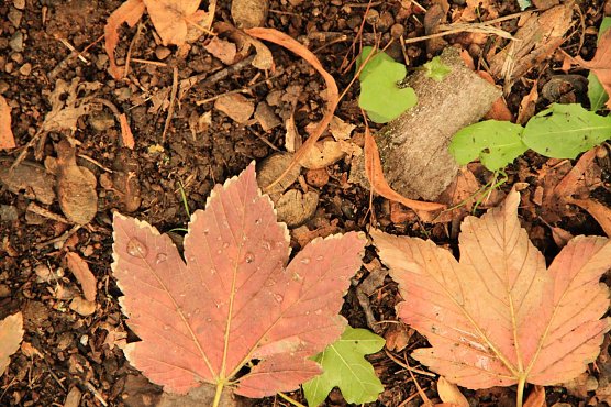 Wetterbild (Foto: Angelo Glashagel) Wetterbild (Foto: Angelo Glashagel)