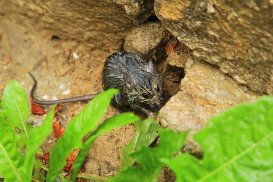 Eine Verletzte bei Wohnhausbrand (Update) (Foto: Silvio Dietzel) Eine Verletzte bei Wohnhausbrand (Update) (Foto: Silvio Dietzel)