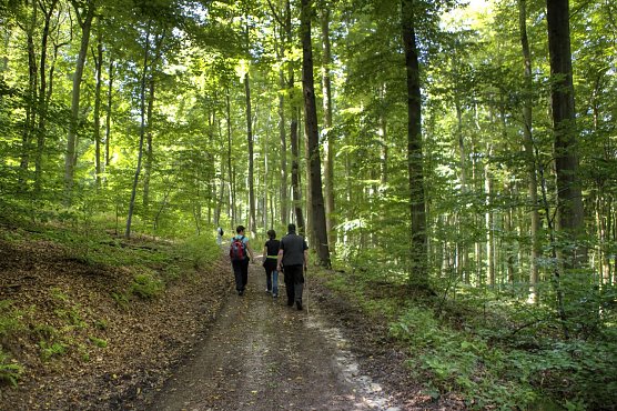 Naturf&uuml;hrung in der Hohen Schrecke (Foto: Hohe Schrecke)