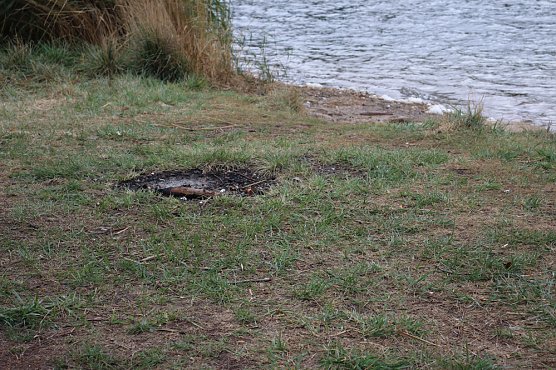 Verr&uuml;ckter Vorschlag (Foto: Karl-Heinz Herrmann)