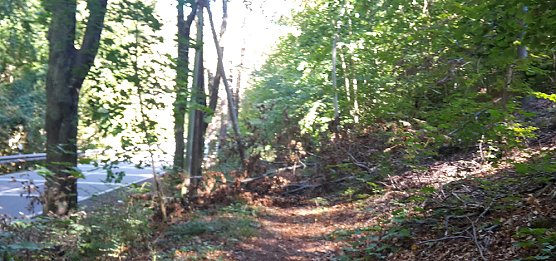 Ausgel&ouml;ster Rauchmelder und mehr (Foto: Karl-Heinz Herrmann)