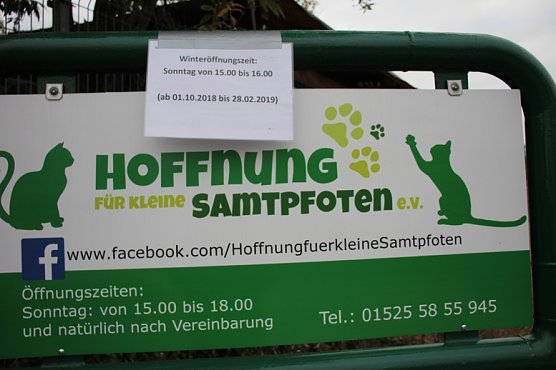 Neue Unterkunft für Katzen (Foto: Karl-Heinz Herrmann) Neue Unterkunft für Katzen (Foto: Karl-Heinz Herrmann)