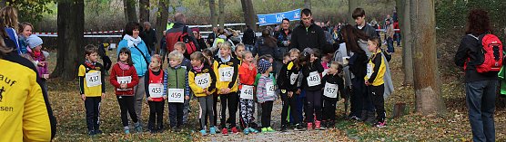 Stadtparklauf in Sondershausen (1) (Foto: Karl-Heinz Herrmann) Stadtparklauf in Sondershausen (1) (Foto: Karl-Heinz Herrmann)