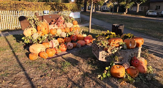 Abschied vom goldenen Oktober (Foto: nnz)