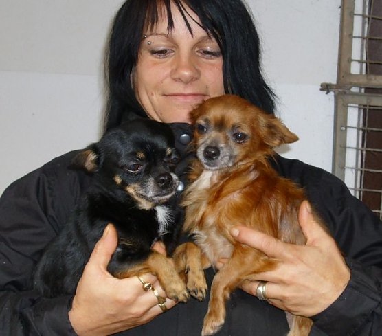 Tiere der Woche (Foto: C. Knust) Tiere der Woche (Foto: C. Knust)