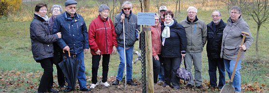 Schon gewusst? (Foto: M. Rasch) Schon gewusst? (Foto: M. Rasch)