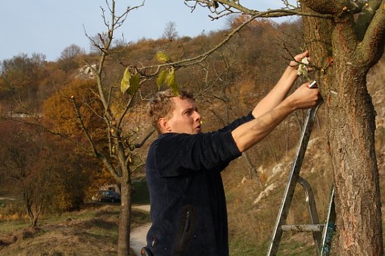 2. Aktionstag Pflege (Foto: Sabine Pusch)