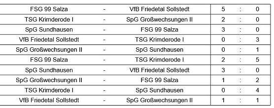 Hallenkreismeisterschaft D-Junioren (Foto: NTKFA)