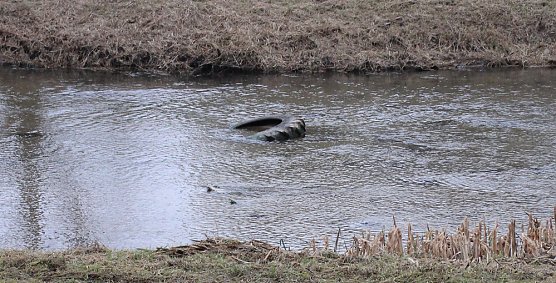 Das Bettlaken fehlt noch (Foto: Karl-Heinz Herrmann)